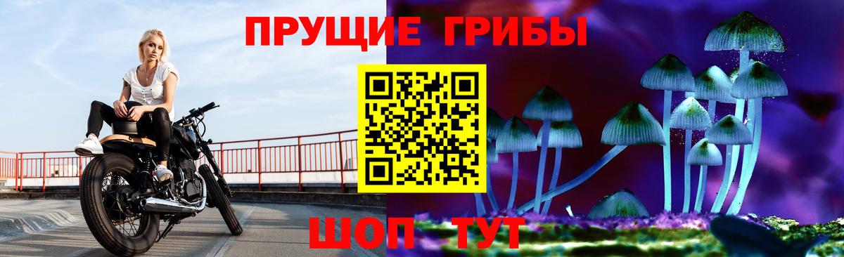 Боровичи  Галлюциногенные грибы Cubensis  купить наркоту  Псилоцибиновые грибы Psilocybe  Вход с VPN 